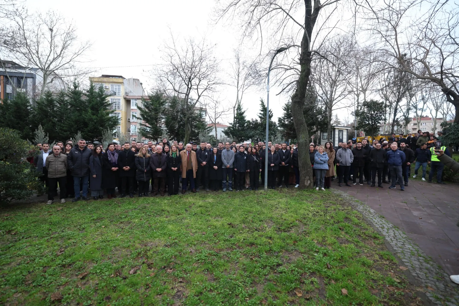 BAKIRKÖY’DE 11 İLİ TEMSİLEN 11 ZEYTİN FİDANI DİKİLDİ