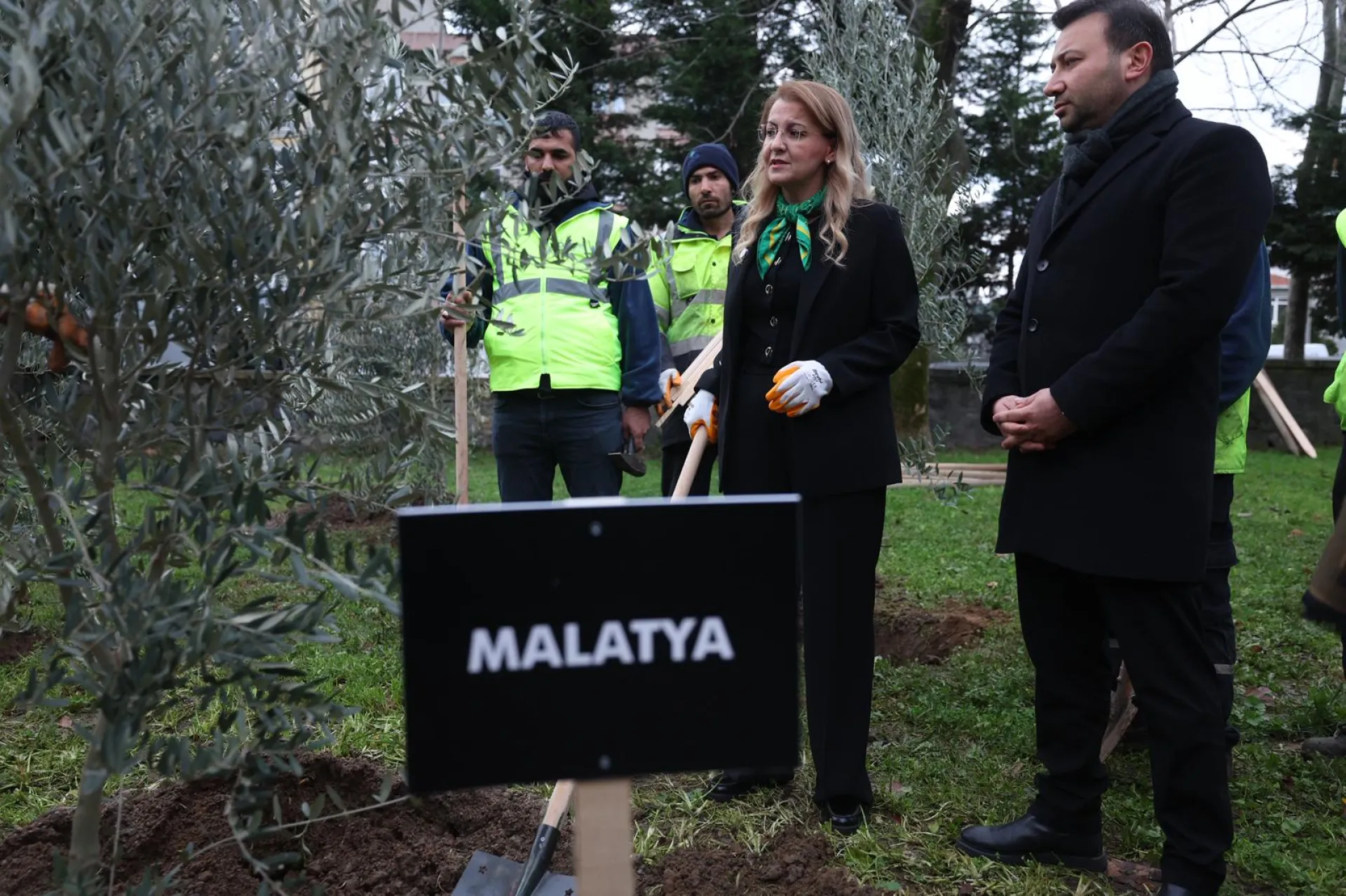 BAKIRKÖY’DE 11 İLİ TEMSİLEN 11 ZEYTİN FİDANI DİKİLDİ