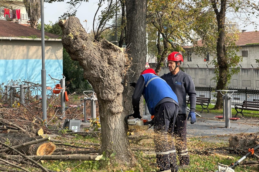 BAKIRKÖY BELEDİYESİ'NDEN TEKE BÖCEĞİNE KARŞI ETKİN MÜCADELE