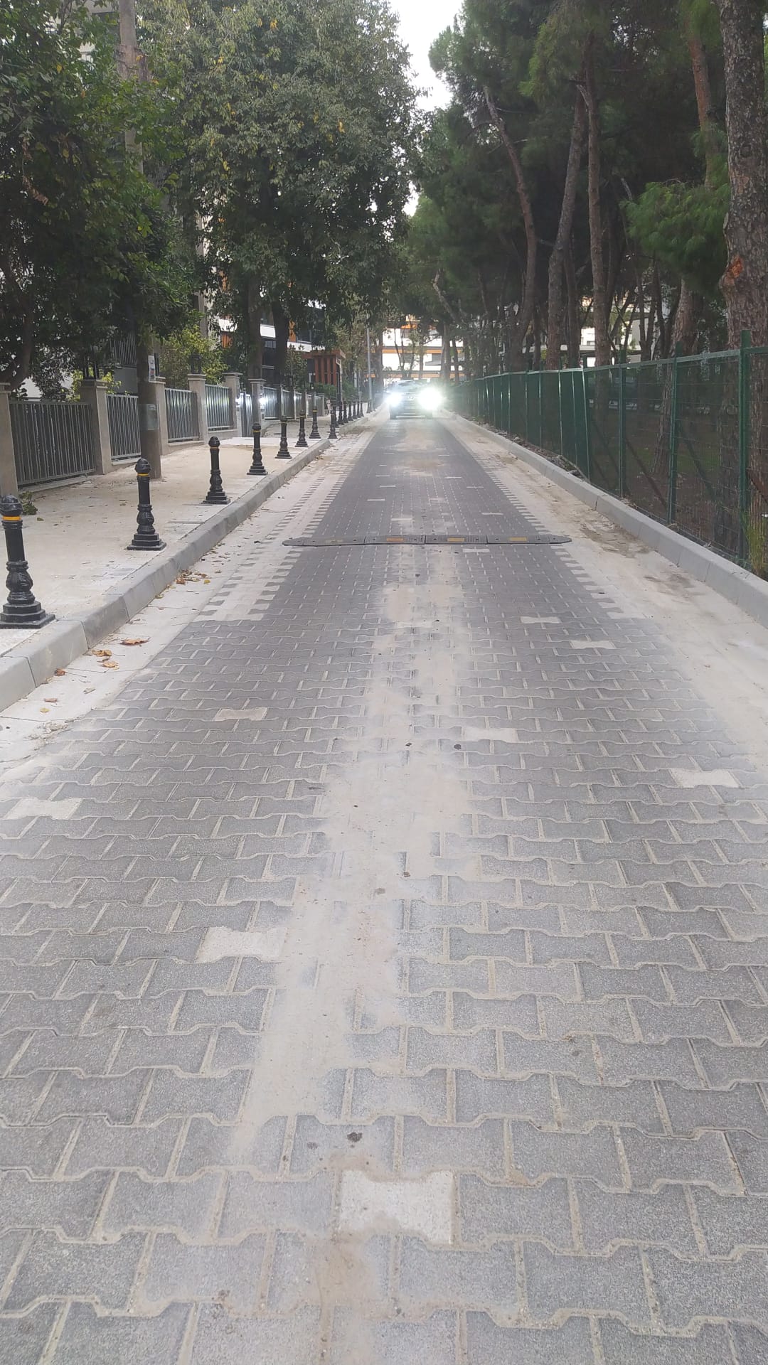 Pelin ve Güçlü Sokaklarında Yol Ve Kaldırımlar Yenilendi