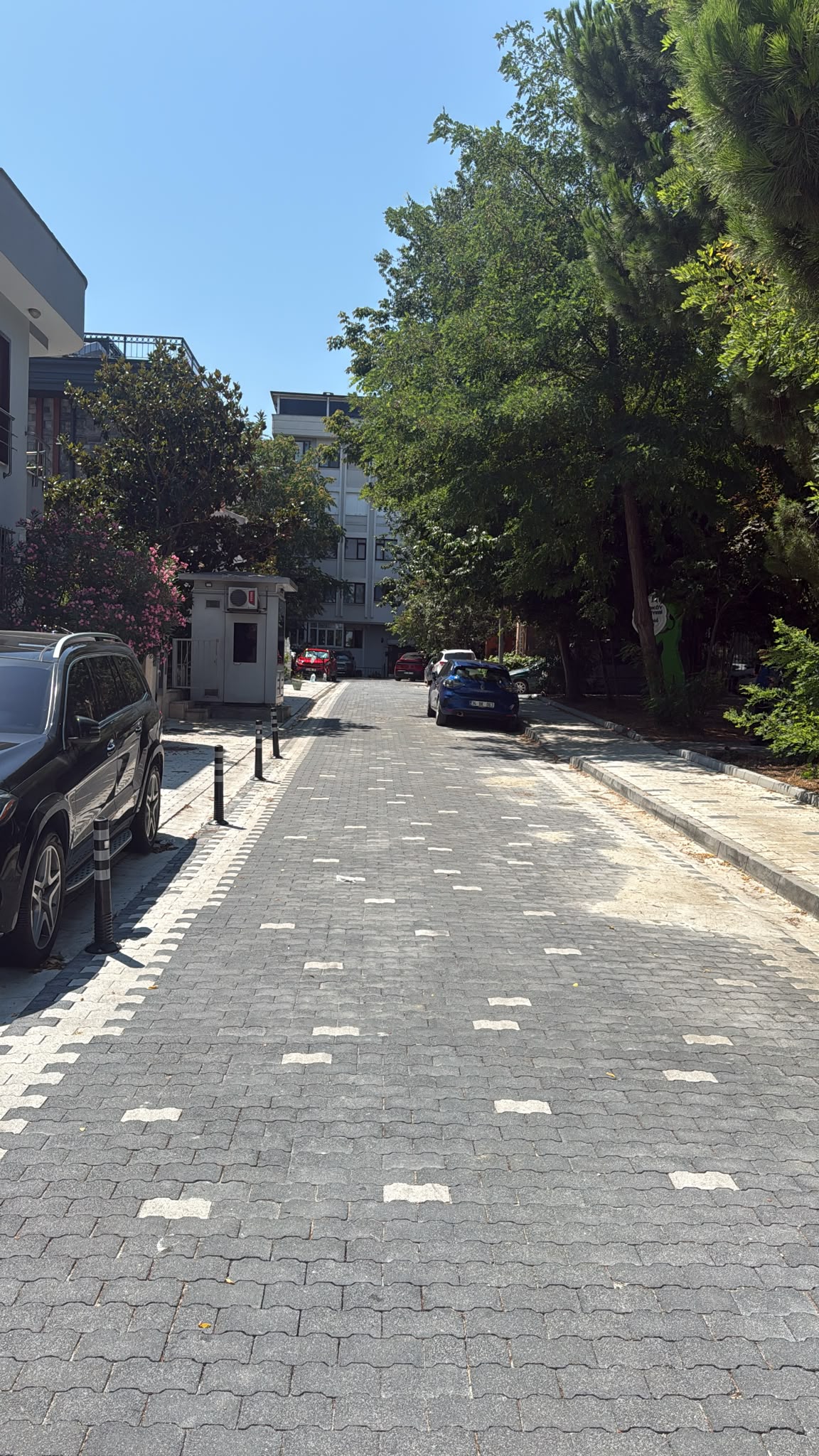 Yayladağ Sokak Yenilendi
