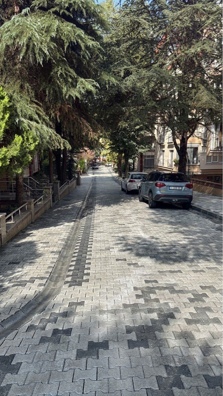 Aksoy Sokak Yenilendi