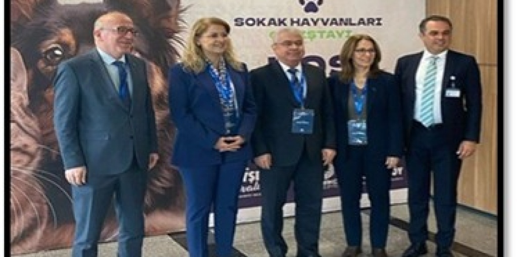 Sokak Hayvanları Çalıştayı
