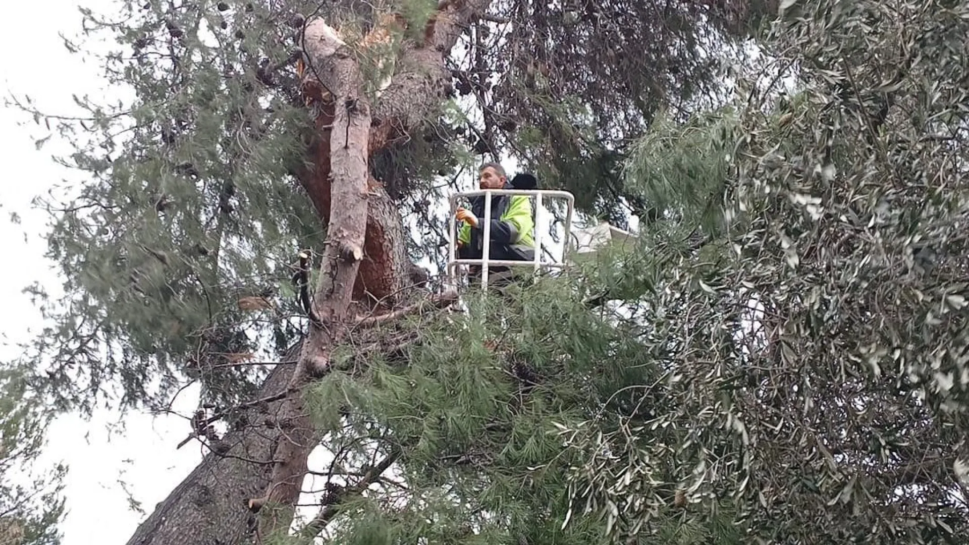 BAKIRKÖY’DE FIRTINA VE YAĞIŞA KARŞI TEYAKKUZ