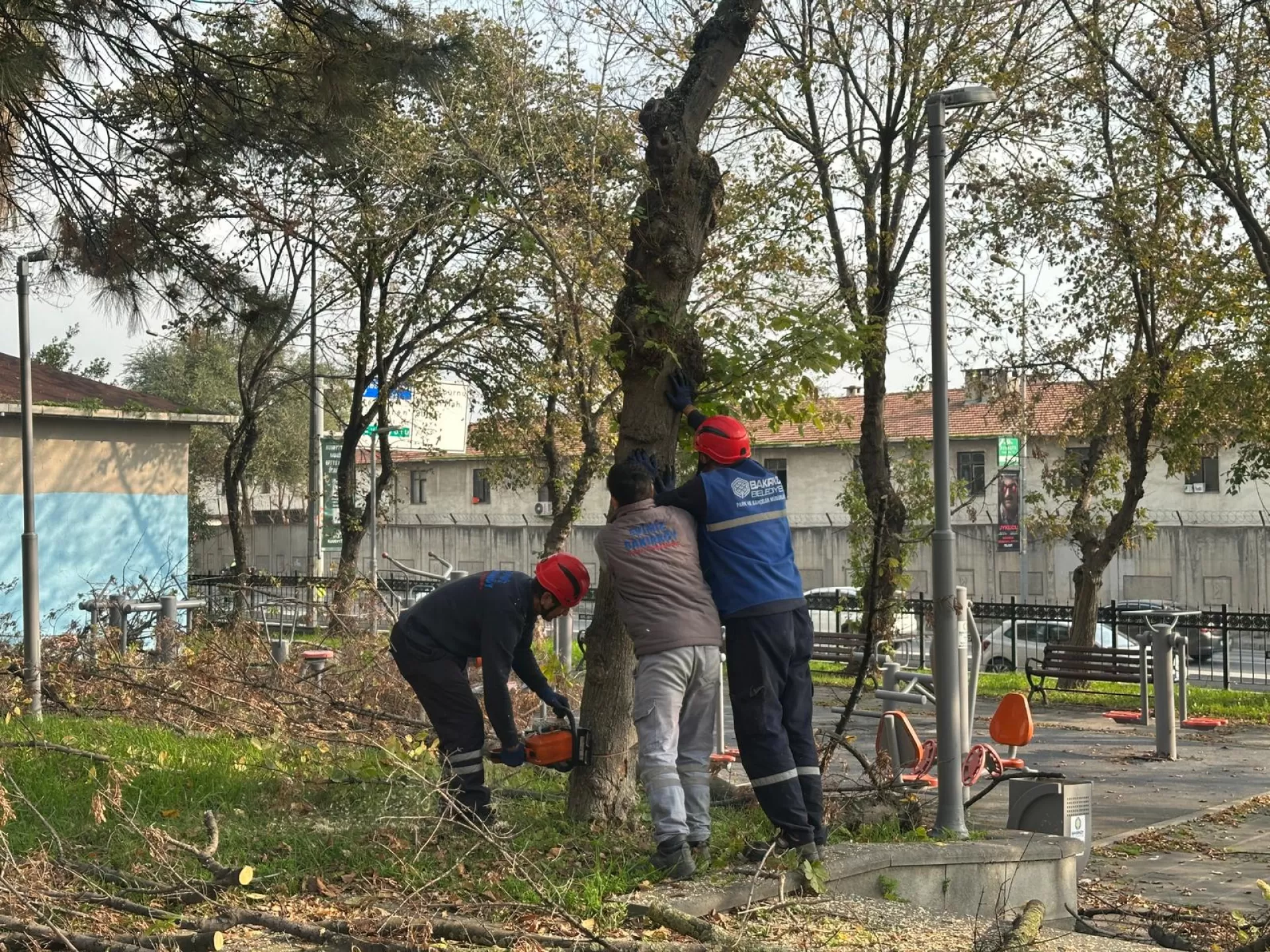 BAKIRKÖY BELEDİYESİ'NDEN TEKE BÖCEĞİNE KARŞI ETKİN MÜCADELE