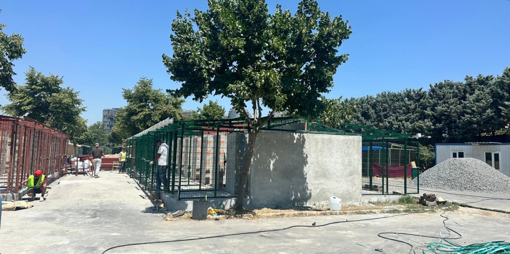 Yeşilköy Hayvan Barınağı