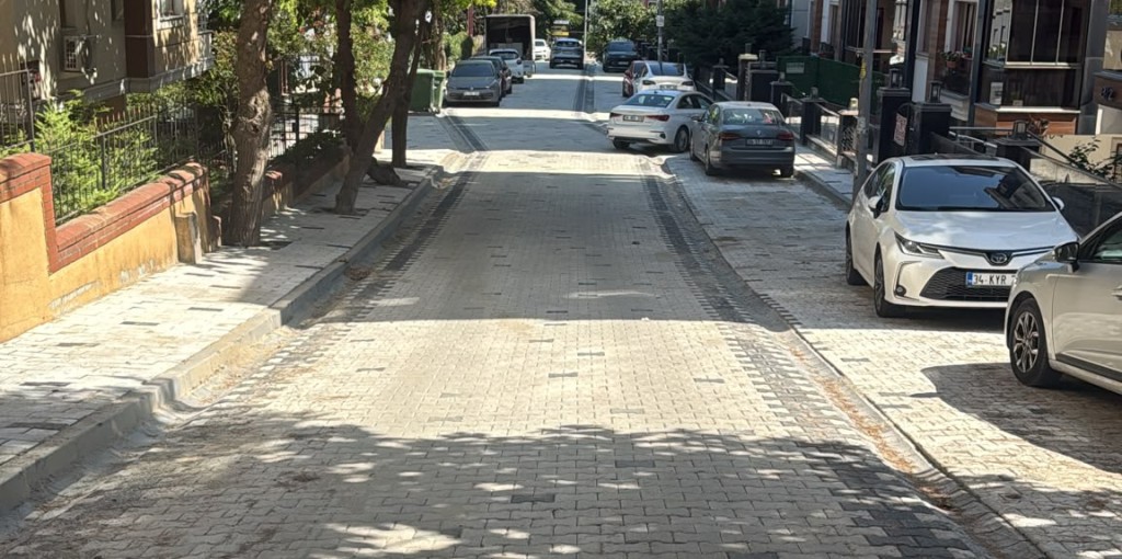 Talat Ertemel