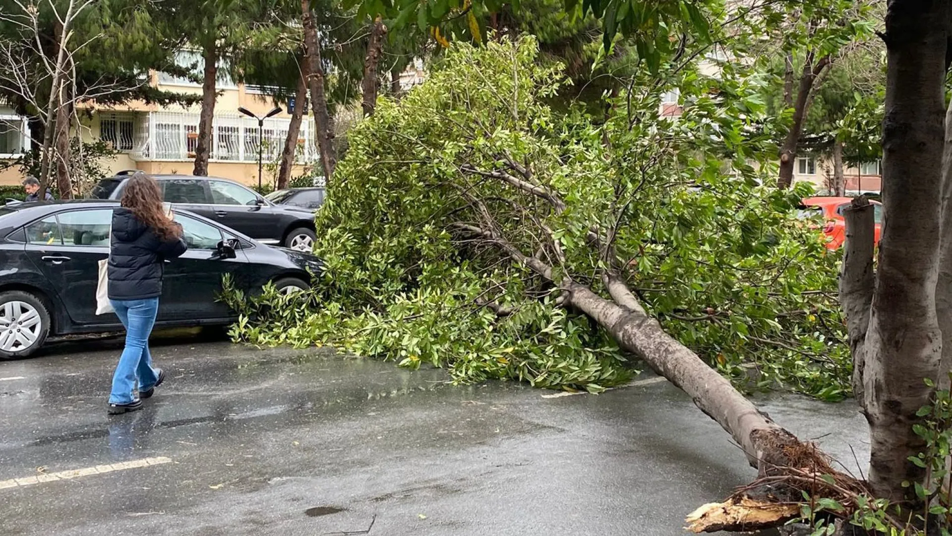 BAKIRKÖY’DE FIRTINA VE YAĞIŞA KARŞI TEYAKKUZ