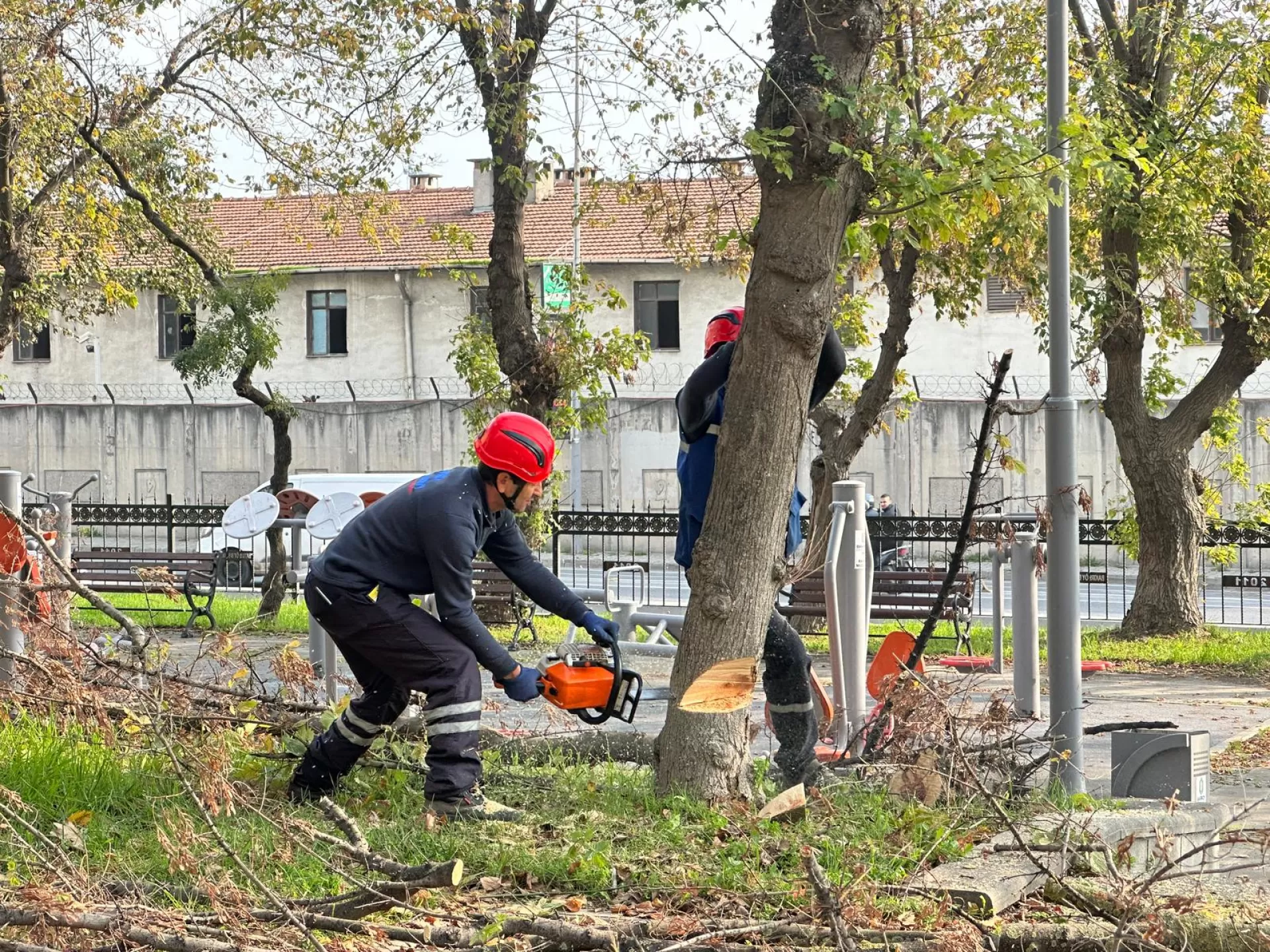 BAKIRKÖY BELEDİYESİ'NDEN TEKE BÖCEĞİNE KARŞI ETKİN MÜCADELE